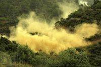 Learn New Firewise Skills
